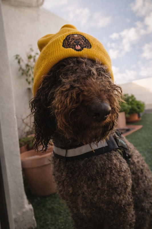Spanish Water Dog Embroidered Beanie | Curly Energy